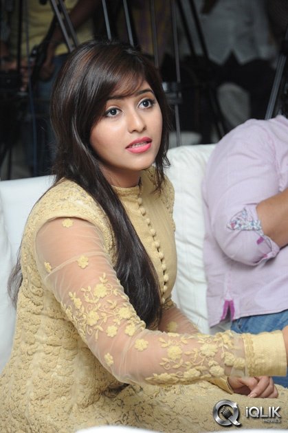 Geethanjali-Movie-Success-Meet